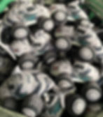 2X Monster Trucks Plush Toys Shark bite