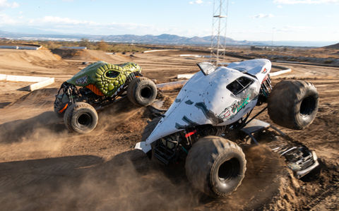 Roarin Rex and Shark bite side by side monster truck racing